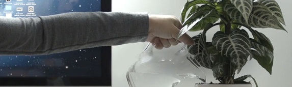 Persoana udand o planta